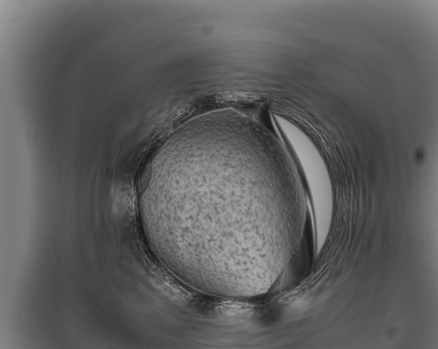 X0000095950617200801181424