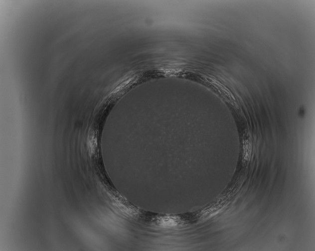 X0000095950618200801181424