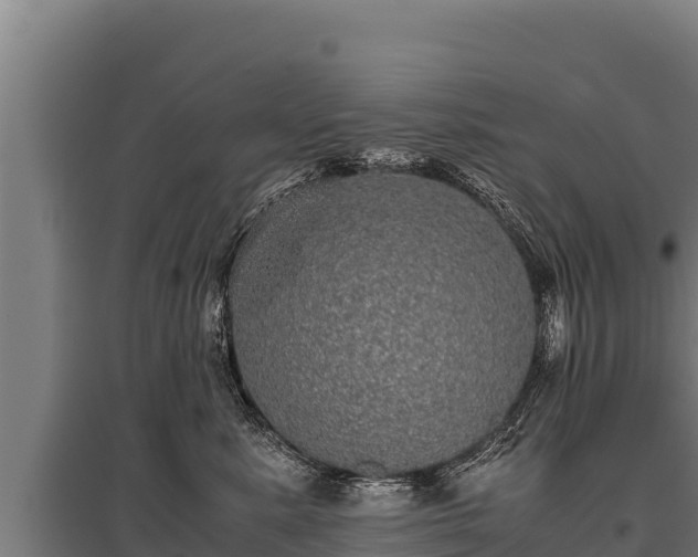 X0000095950619200801181424