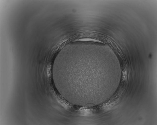 X0000095950620200801181424