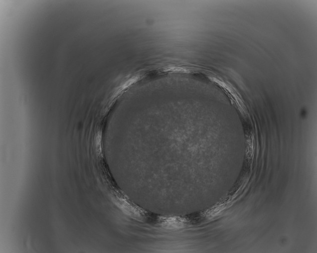 X0000095950621200801181424