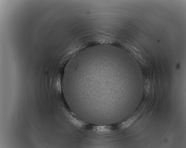 X0000095950622200801181423