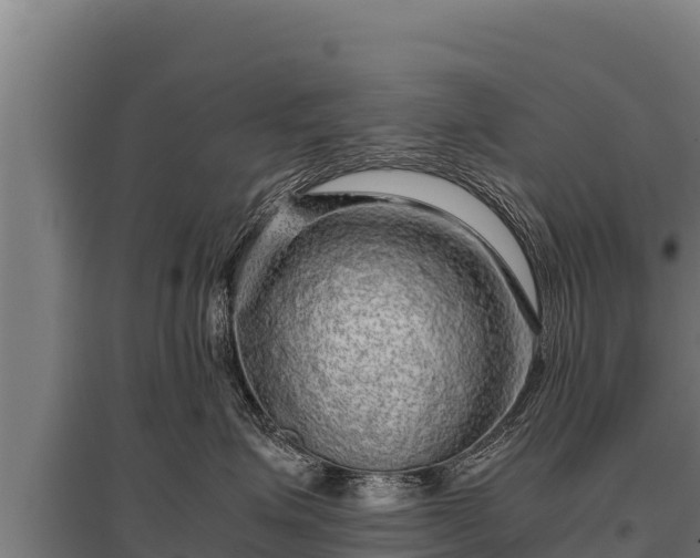 X0000095950623200801181423