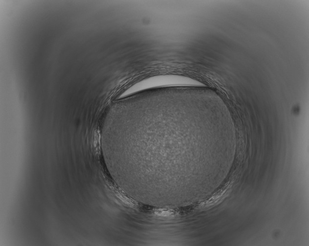 X0000095950624200801181423