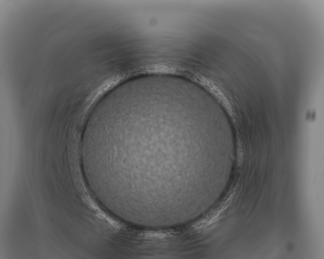 X0000095950625200801181423