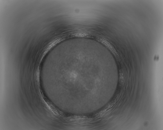 X0000095950626200801181423