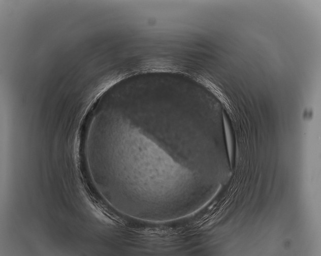 X0000095950627200801181423