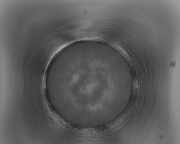 X0000095950628200801181423