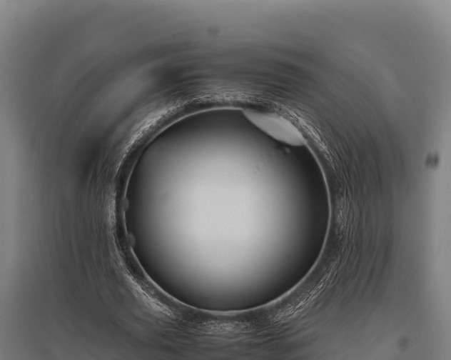 X0000095950629200801181423