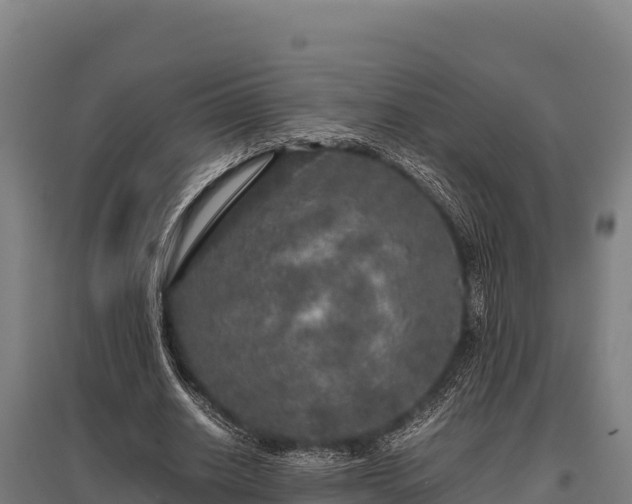 X0000095950630200801181423