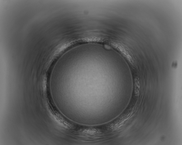 X0000095950631200801181423