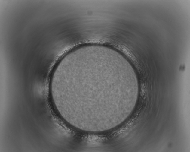 X0000095950632200801181423