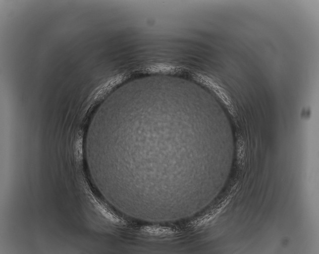 X0000095950633200801181423