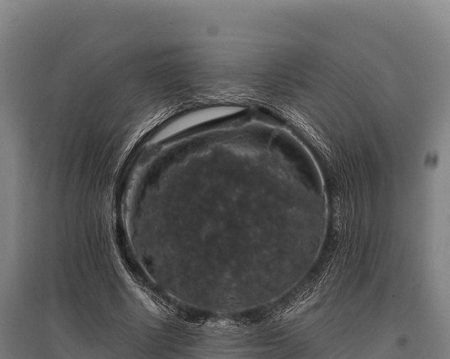 X0000095950634200801181423