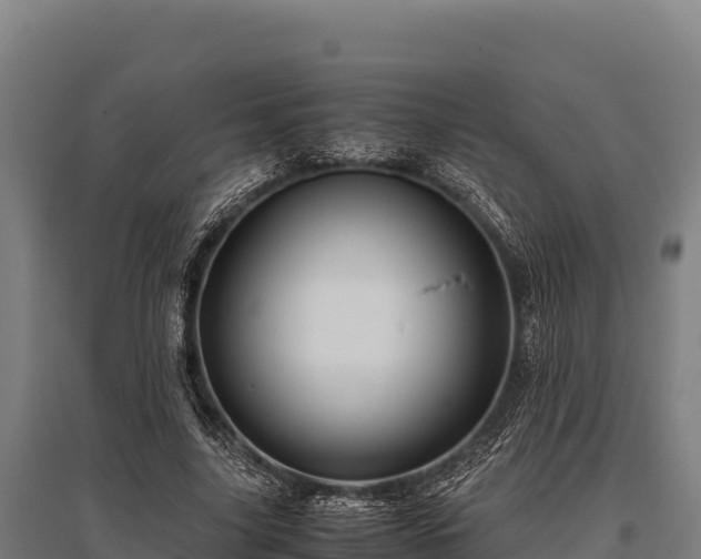 X0000095950635200801181423