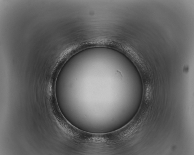 X0000095950636200801181423