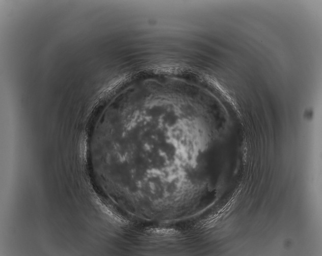 X0000095950637200801181423