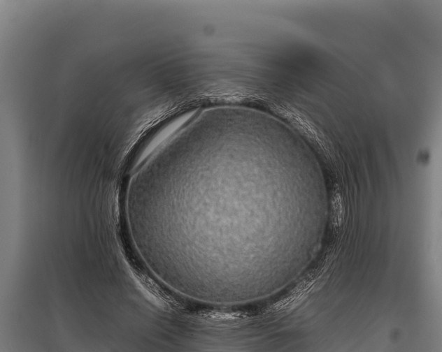 X0000095950638200801181423