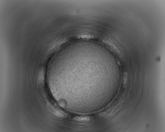 X0000095950639200801181423