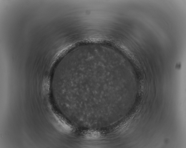 X0000095950640200801181423