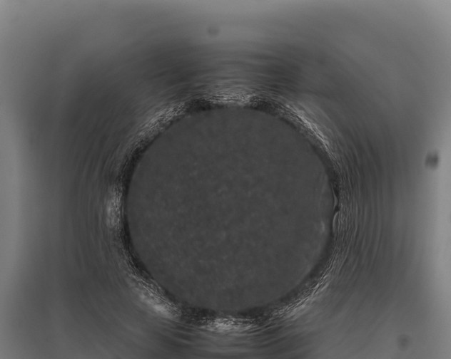 X0000095950641200801181423