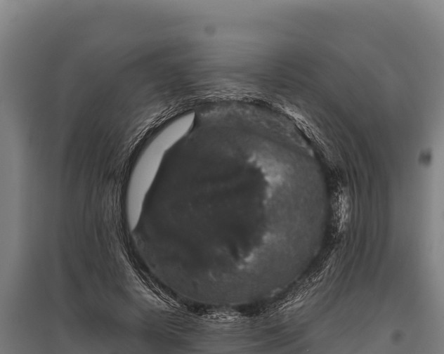 X0000095950642200801181423