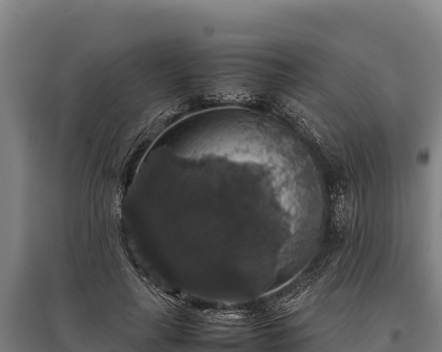 X0000095950643200801181423