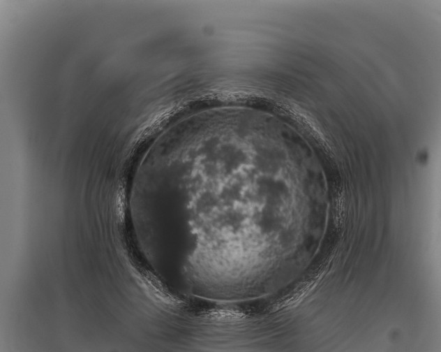 X0000095950644200801181423