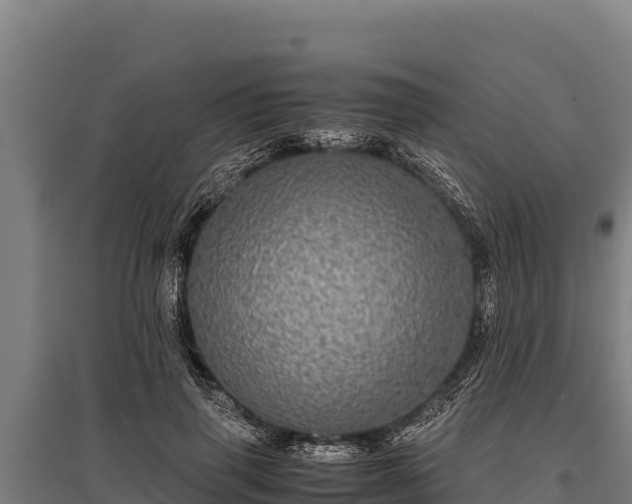 X0000095950645200801181423