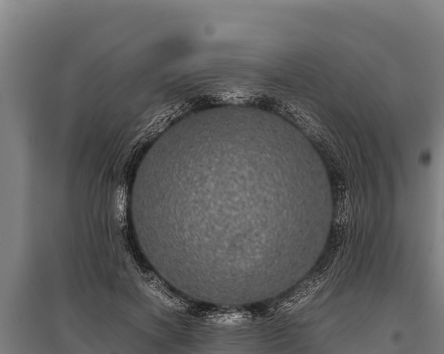 X0000095950646200801181423