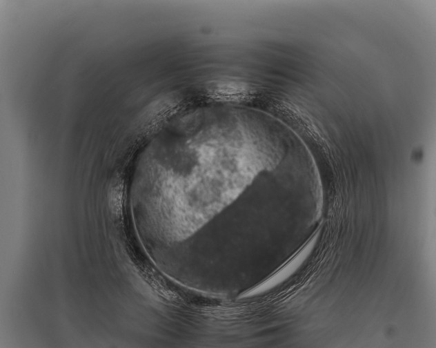 X0000095950647200801181423