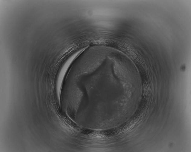 X0000095950648200801181423