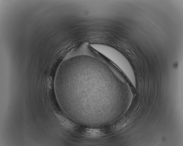 X0000095950649200801181423