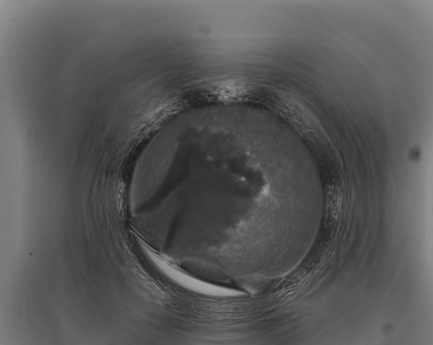 X0000095950650200801181423