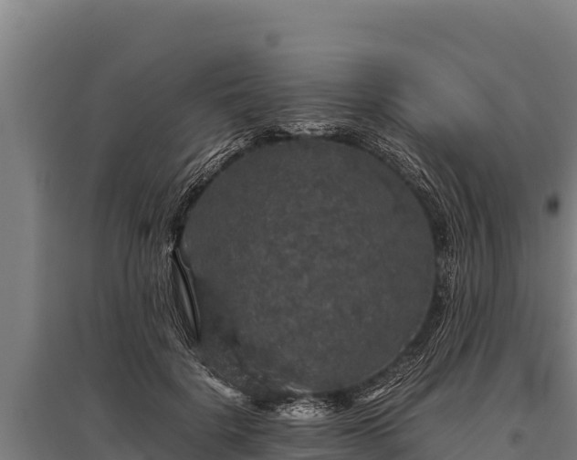 X0000095950652200801181423