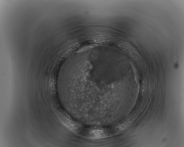 X0000095950653200801181423