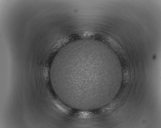 X0000095950654200801181423