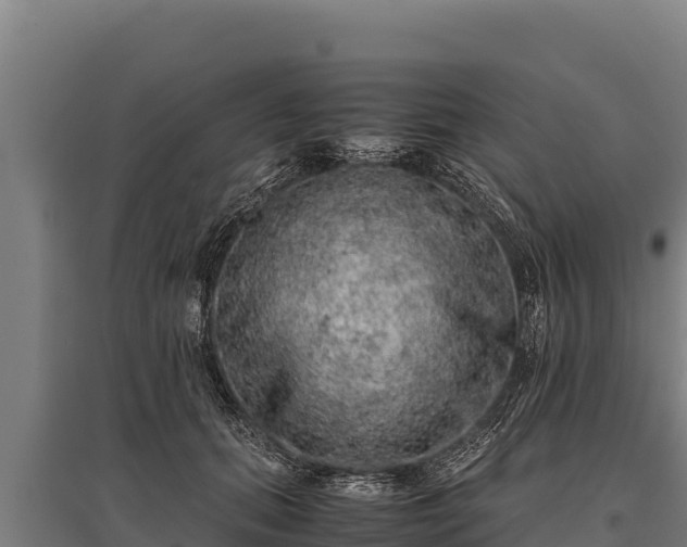 X0000095950655200801181423