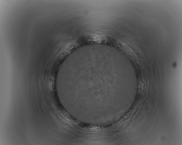 X0000095950656200801181423