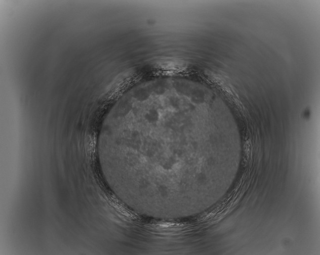 X0000095950657200801181423