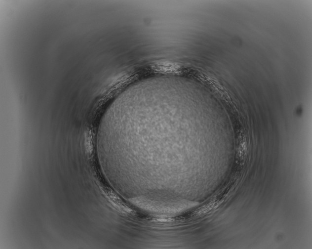 X0000095950658200801181423