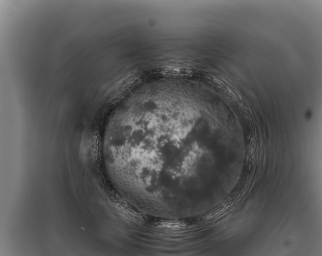 X0000095950659200801181423