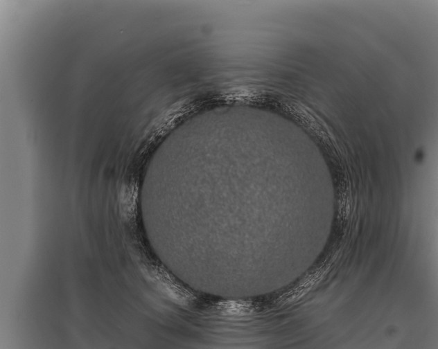 X0000095950660200801181423