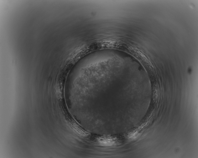 X0000095950661200801181423