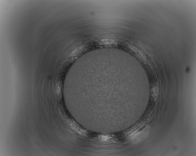 X0000095950662200801181423