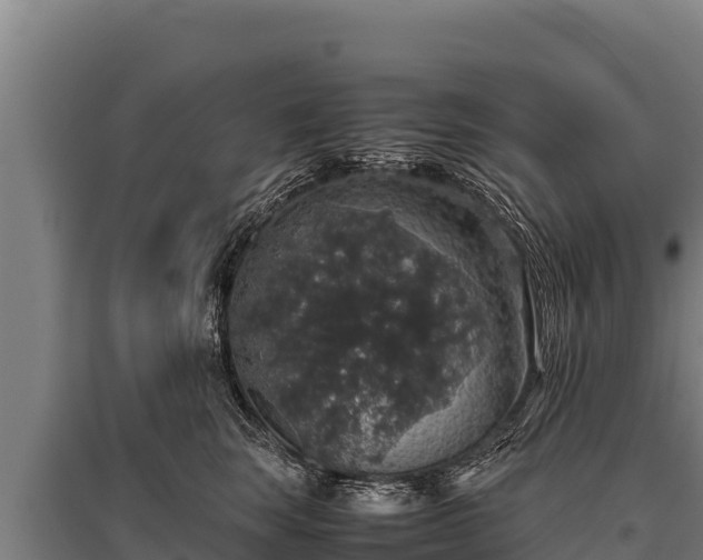 X0000095950663200801181423