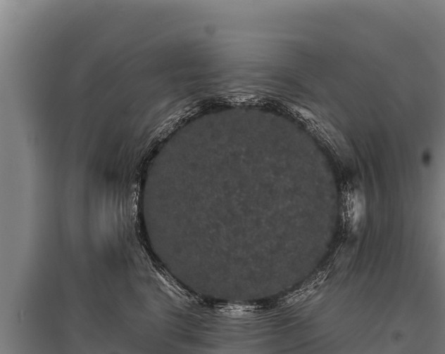 X0000095950664200801181423