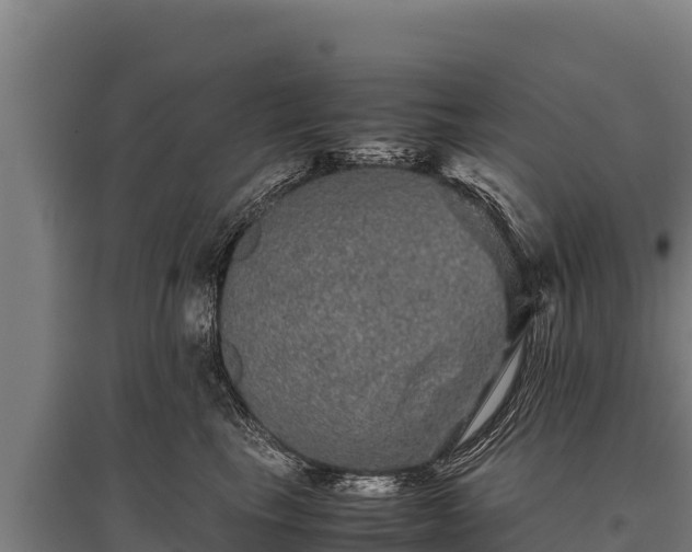 X0000095950665200801181423