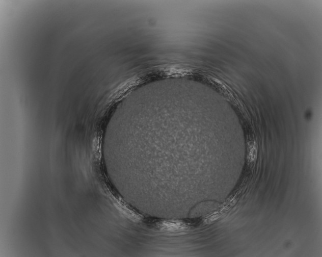 X0000095950666200801181423