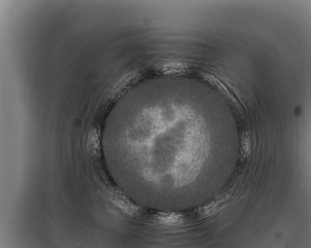 X0000095950667200801181423